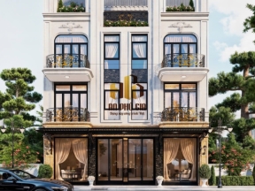 Biệt thự phố kết hợp phòng khám  kiểu tân cổ điển kích thước 12x17m
