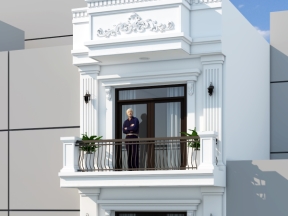 File su nhà ở 2 tầng tân cổ điển mặt tiền 4.5m