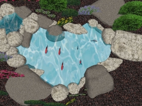 Hồ cá koi dựng trên model su