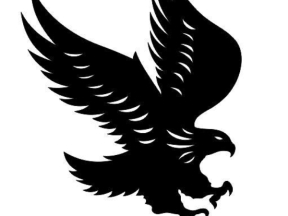 Model cắt dương cnc đại bàng