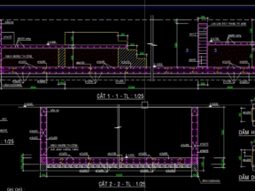 Thiết kế kết cấu hồ bơi 10x25m