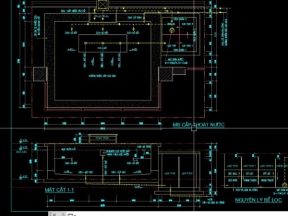 Thiết kế thiết kế bể cá koi
