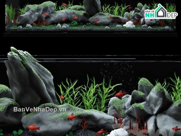 Model 3dmax thiết kế bể cá cảnh siêu đẹp