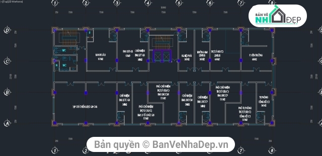 thiết kế nhà 7 tầng,thiết kế nhà làm việc,Nhà làm việc 7 tầng,7 tầng,Nhà làm việc 7 tầng 22.1x50.9m