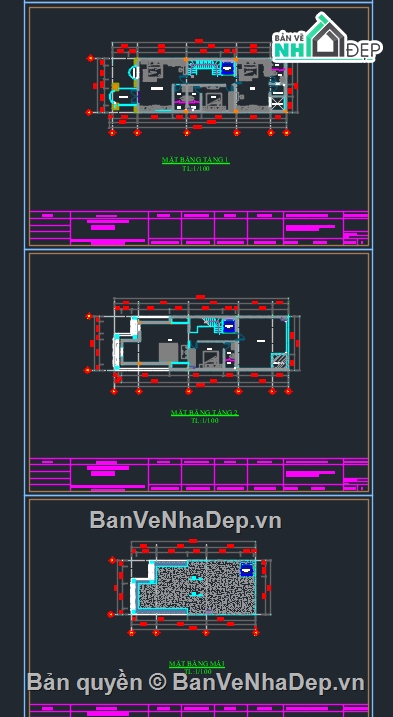 biệt thự tân cổ,kiến trúc biệt thự tân cổ điển,Kiến trúc,bản vẽ autocad