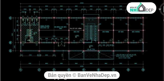 Thư viện 2 tầng 8x29.7m,nhà hành chính 2 tầng,Thư viện trường học,bản vẽ thư viện hành chính,thiết kế nhà hành chính,file cad thư viện trường học