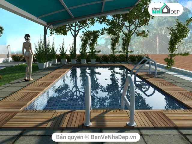 Sketchup bể bơi đẹp,mẫu bể bơi,bể bơi villa,bể bơi 4.5x11m,bể bơi mini gia đình,Thiết kế bể bơi đẹp