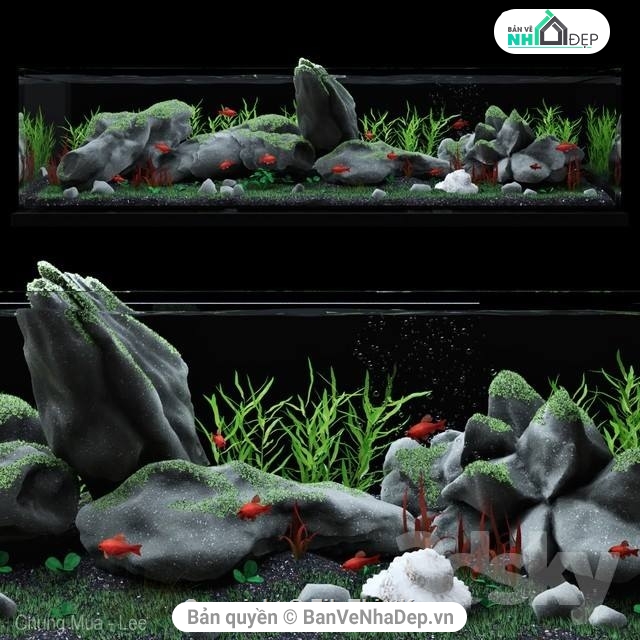 Model 3dmax thiết kế bể cá cảnh siêu đẹp