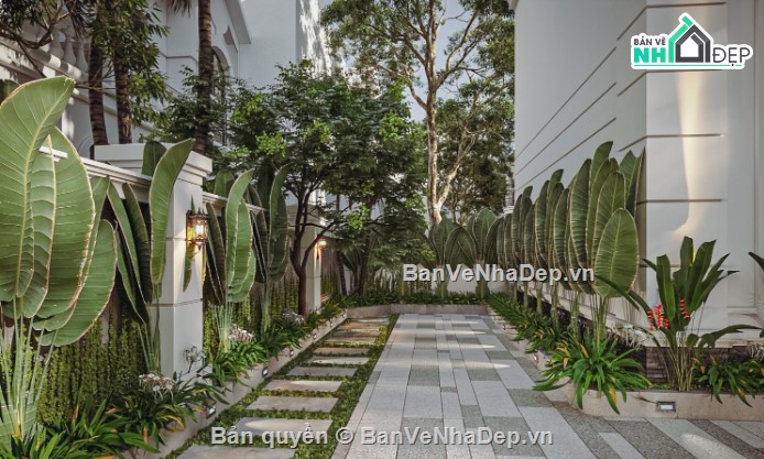 biệt thự cổ điển 3 tầng,3dmax biệt thự 3 tầng,biệt thự 3 tầng