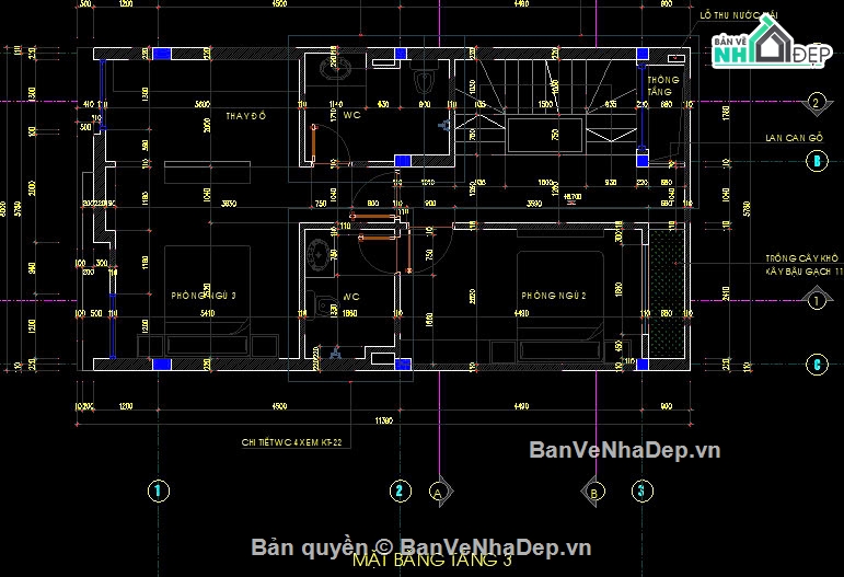 nhà phố trên 3 tầng,nhà phố trên 4 tầng,nhà phố 5 tầng,bản vẽ nhà phố,Nhà phố