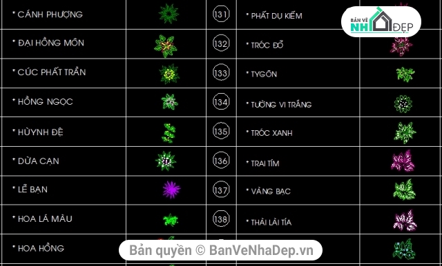 cây xanh,mẫu cây,block cây cối,thư viện cây,Autocad thổng hợp mẫu cây đô thị,file cad thư viện cây đô thị