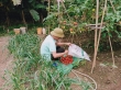 Ngọ - Ngọ Ngọc Hào
